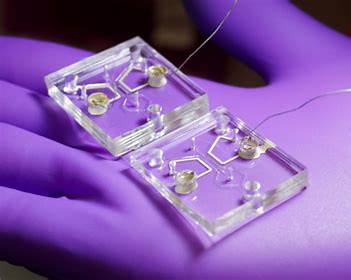 Illustration eines elektrischen Feld-Konzepts