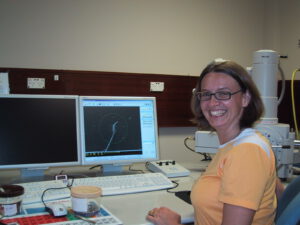 University of Adelaide, 2008